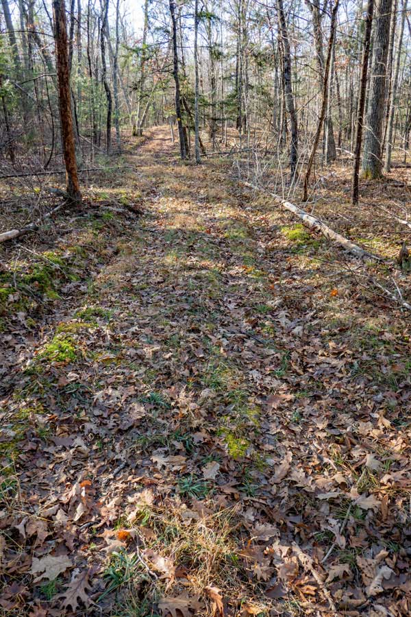 Near the end of the eastern side of the  Israel Wittman Sanctuary Trail