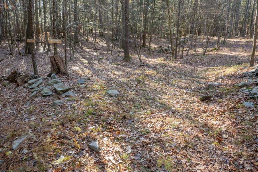 trail junction for Loop A and Loop B in the Israel Wittman Sanctuary
