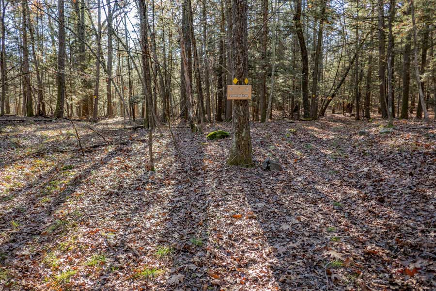 beginning of Loop B in the Israel Wittman Sanctuary  