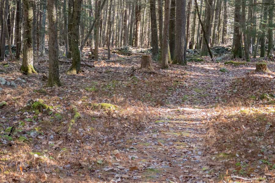 Loop B in the Israel Wittman Sanctuary  