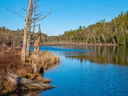 Lakes Region of the bluestone wild forest in the catskill mountains