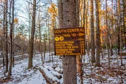 Southern Region of the Bluestone Wild Forest