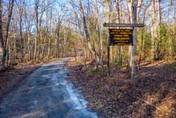 Wintergreen region of the Bluestone Wild Forest