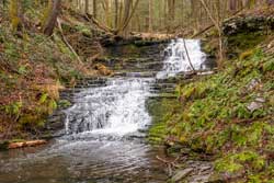 israel-wittman-sanctuary trail system