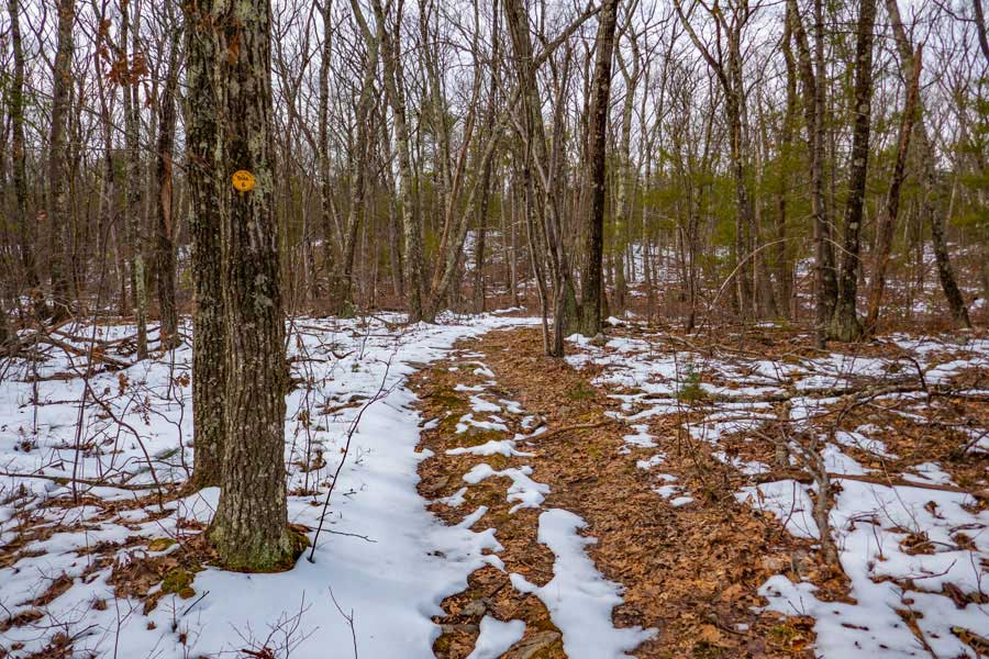 Example of the Guaniana Trail in the Southern Region of Bluestone Wild Forest