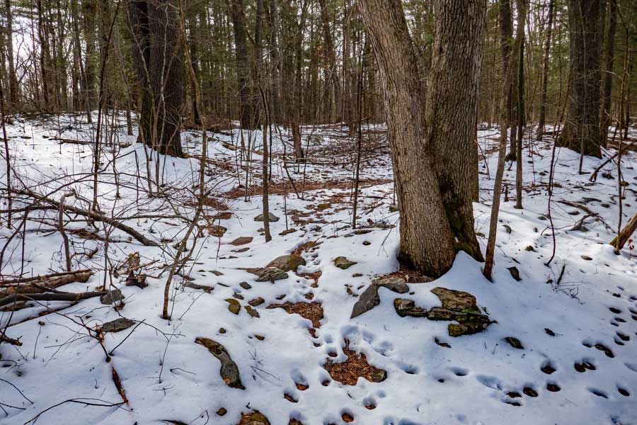 Trail Head for Scott's Trail in the Southern Region of the Bluestone Wild Forest