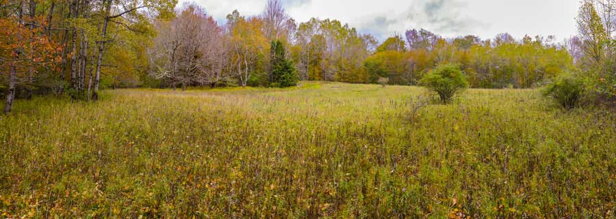 Field near homestead off the Hog Hollow Trail