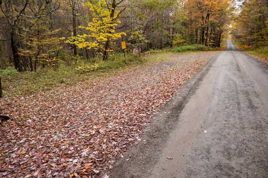 Campbell Mountain Road Parking area for the Hog Hollow Trail.