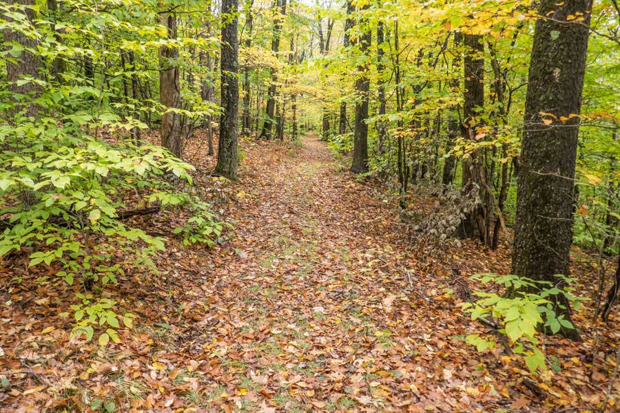 The Campbell Mountain Trail will run along the side of the range, and then turn north towards the trailhead of the Hog Hollow Trailhead