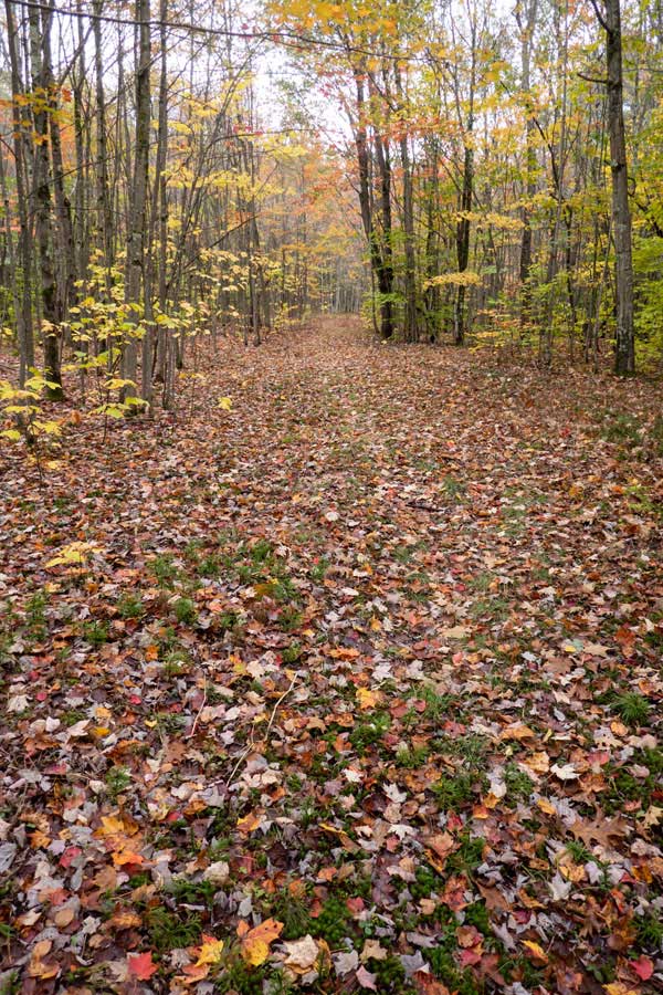 some section of the Hog Hollow Trail are exceptionally wide
