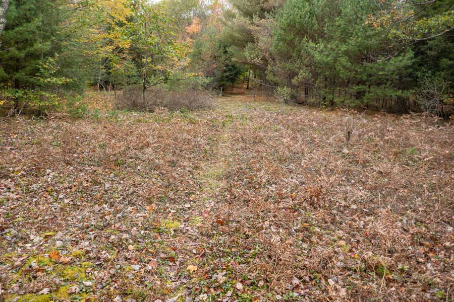 fields on the Hog Hollow Trail