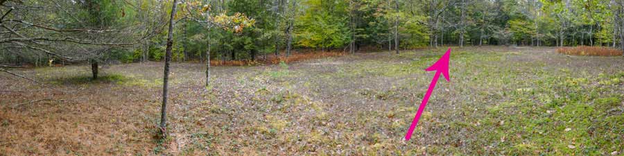 larger field on the Hog Hollow Trail