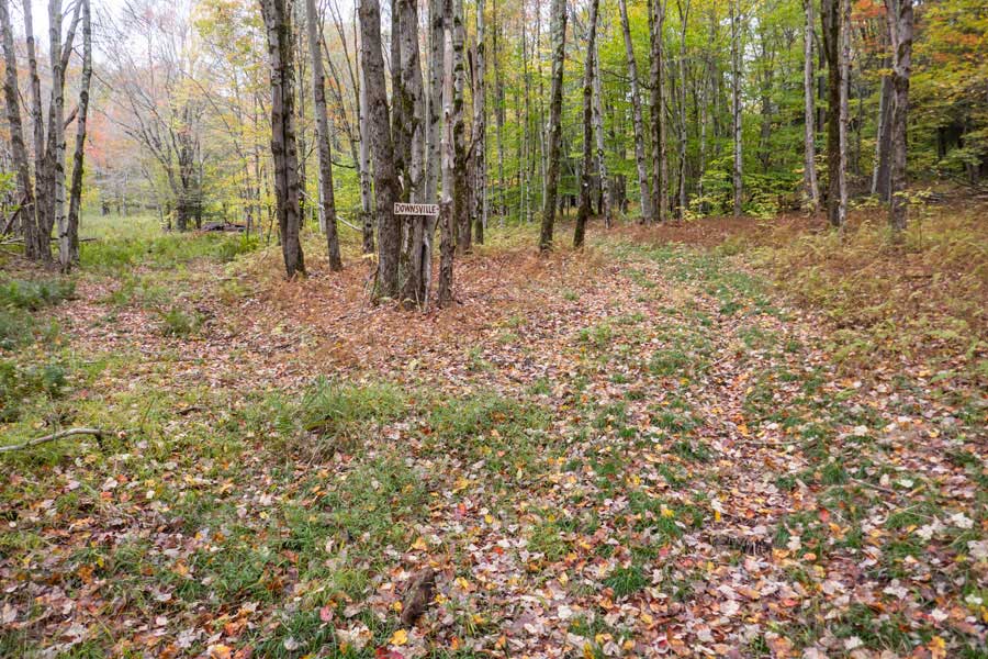 Go right on the Hog Hollow Trail where you see the Downsville wooden sign