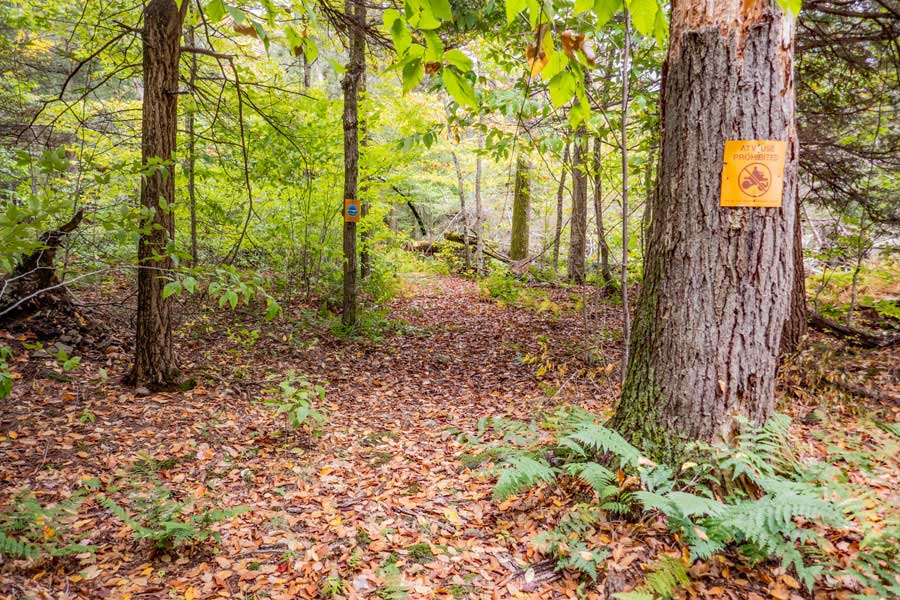 entering DEC public land on the Hog Hollow Trail 