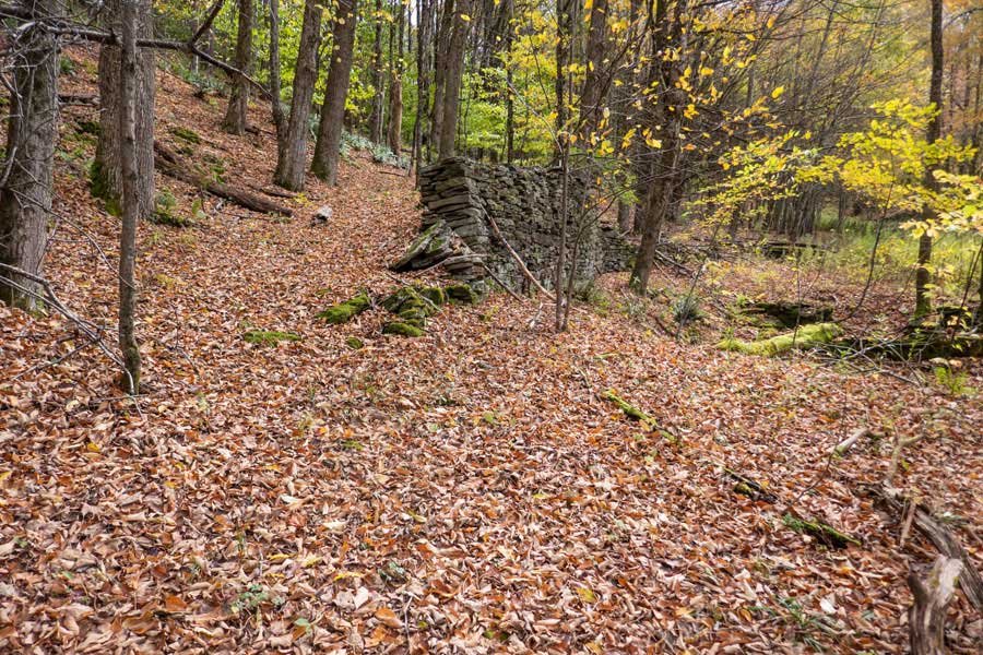 first old homestead on the Hog Hollow Trail    