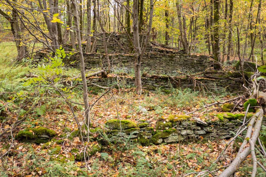 second old homestead on the Hog Hollow Trail    
