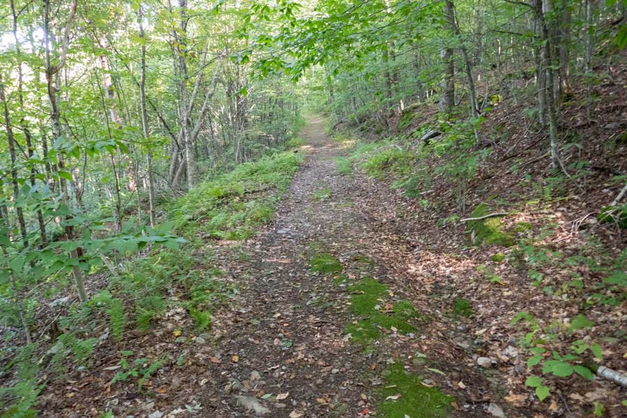 east side of the ridge line on the Huggins Lake Trail