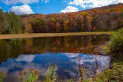 Little Spring Brook Trail