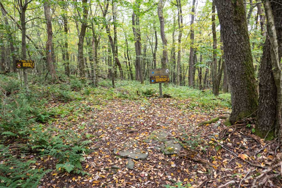 End of the Western Section of the Mary Smith Trail