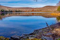 Mud Pond