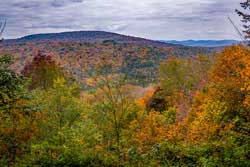 Pelnor Hollow Trail