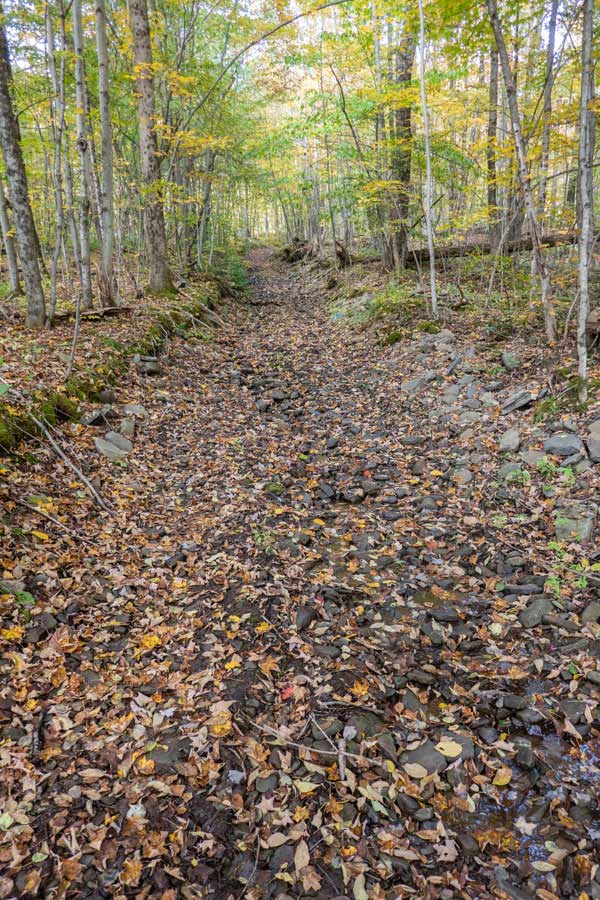 the lower and middle sections of the Pelnor Hollow Road on DEC public land