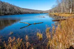 Trout Pond