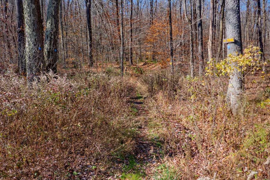 Northern Trailhead for the Mud Pond Trail
