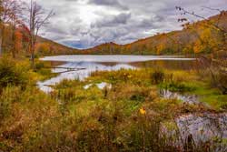 Trout Pond