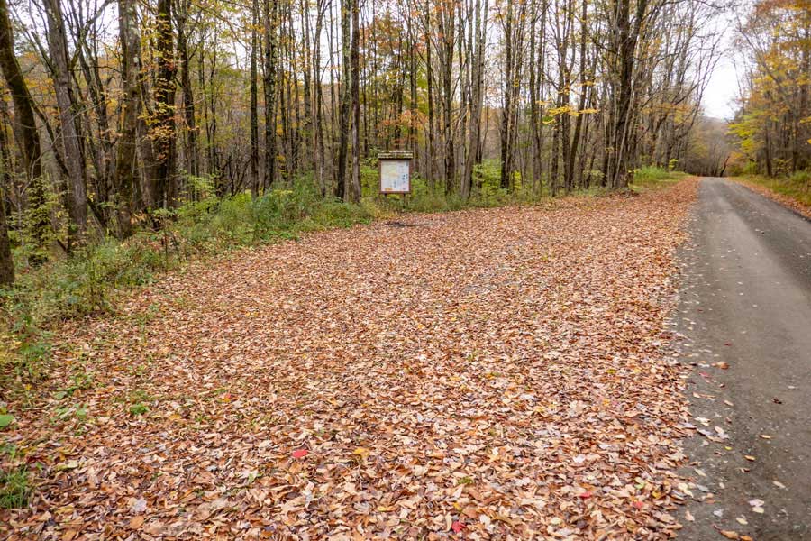 Campbell Brook Road DEC Parking Area