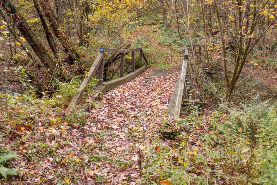 the Trout Pond Trail crosses the Campbell Brook over the wooden bridge