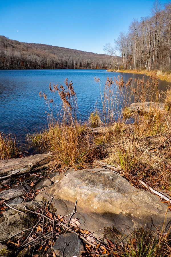 picture of Trout Pond half way up the pond 