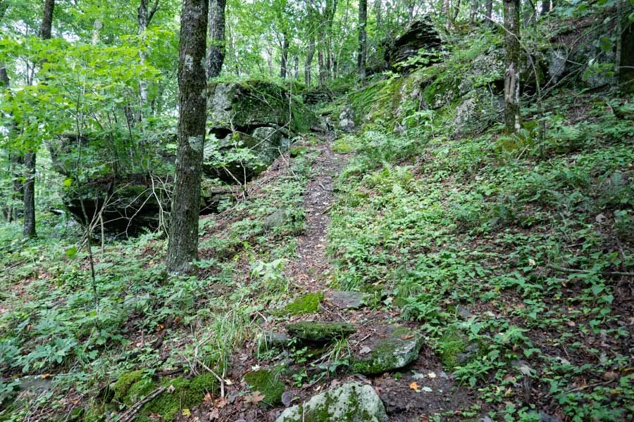 approaching the Dry Brook Ridge