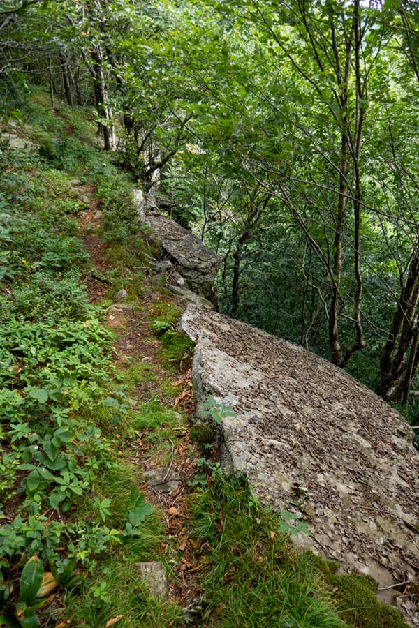 dangerous ledge just before View Point #2 on the Dry Brook Ridge