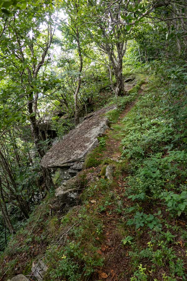 ledge just before View Point #2 on the Dry Brook Ridge