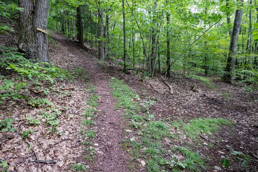side trail below Pakatakan Mountain