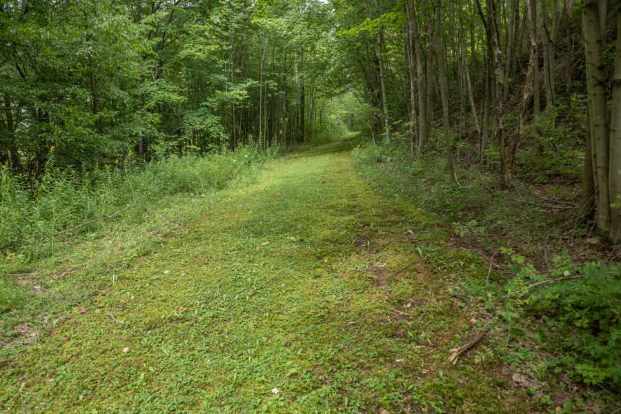 the Margaretville Village Trail from South Side Road to Rt 28