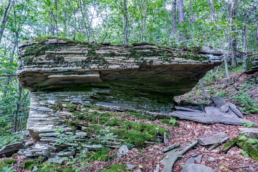 Huckleberry Loop Trail near the ridge