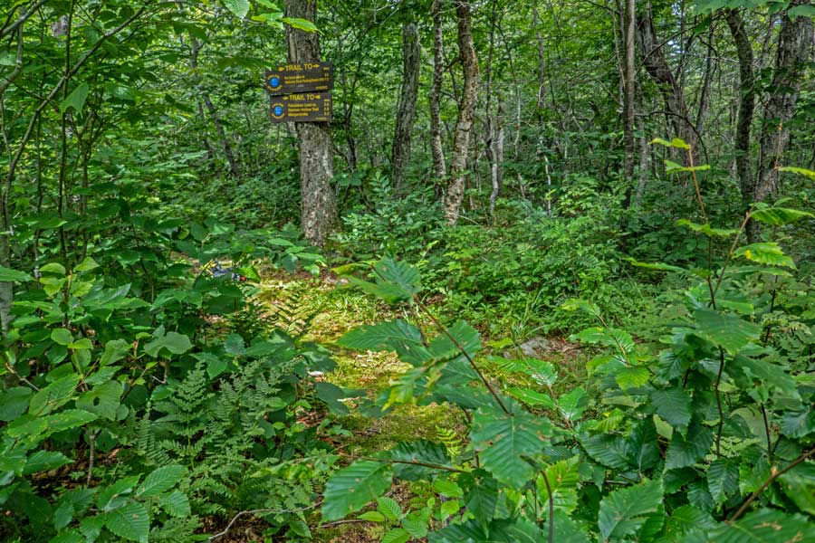 end of public land onto private property on the Dry Brook Ridge Trail