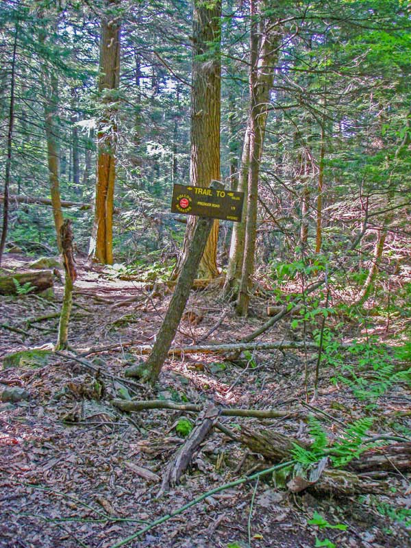 Trail Junction for Prediger Parking Area