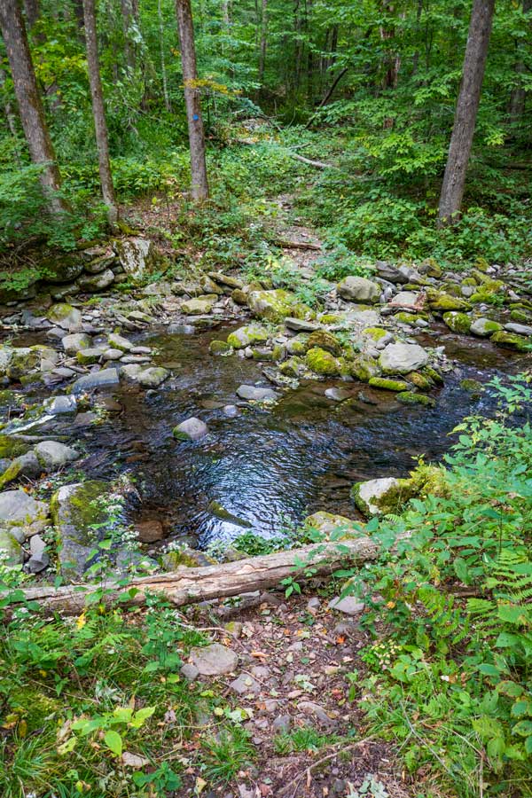 Crossing the Roaring Kill Creek on the way to the Mink Hollow Pass