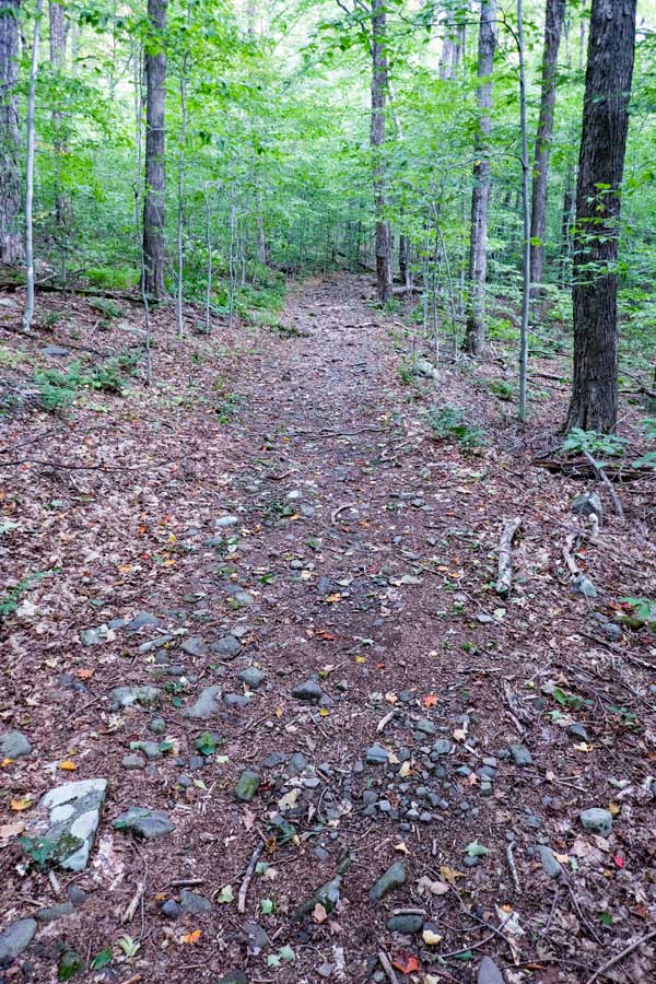 Old Mink Hollow Road on the north side of Mink Hollow Pass