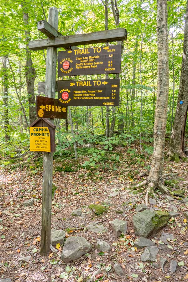 Trail junction on Mink Hollow Road for the trail to the summit of Plateau Mountain