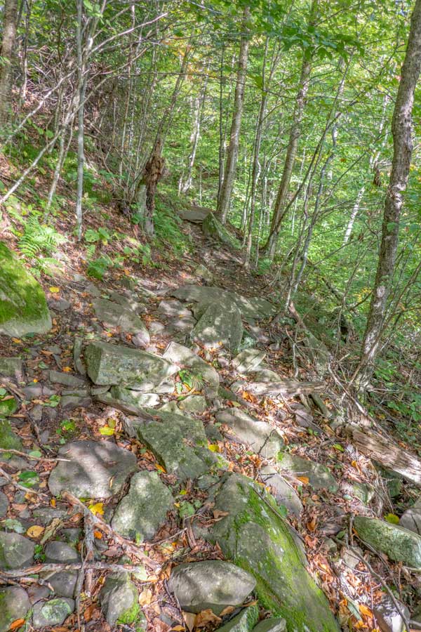 beginning of trail to the summit of Plateau Mountain