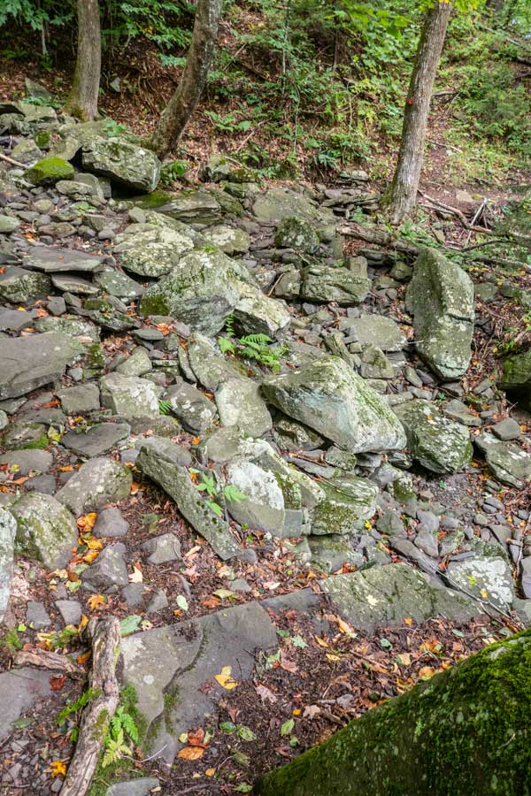 Roaring Kill Creek on the banks of Plateau Mountain