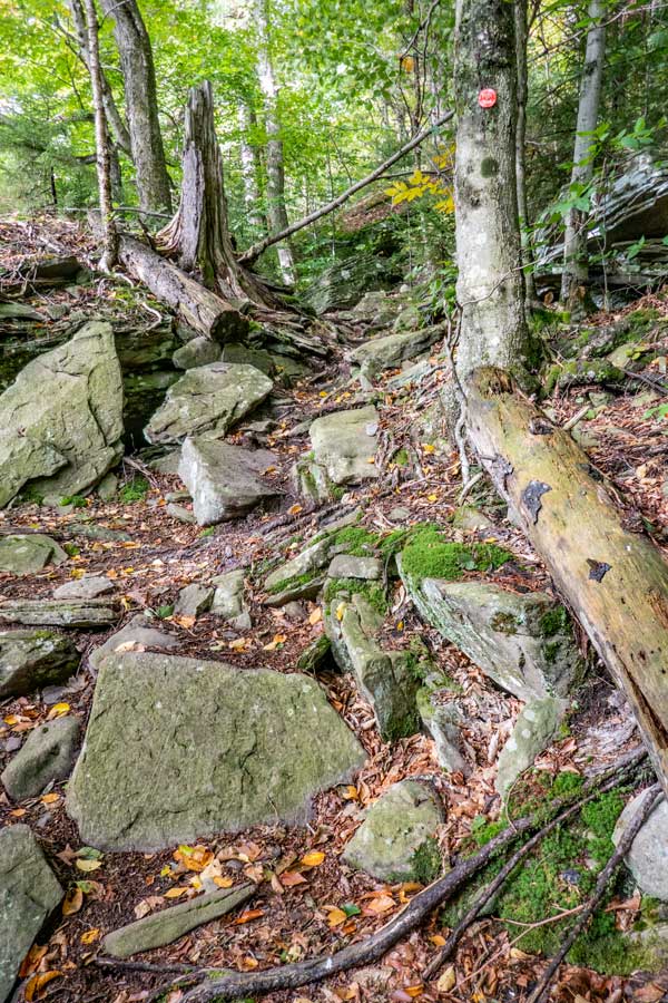 trail from mink hollow pass to the summit of Plateau Mountain