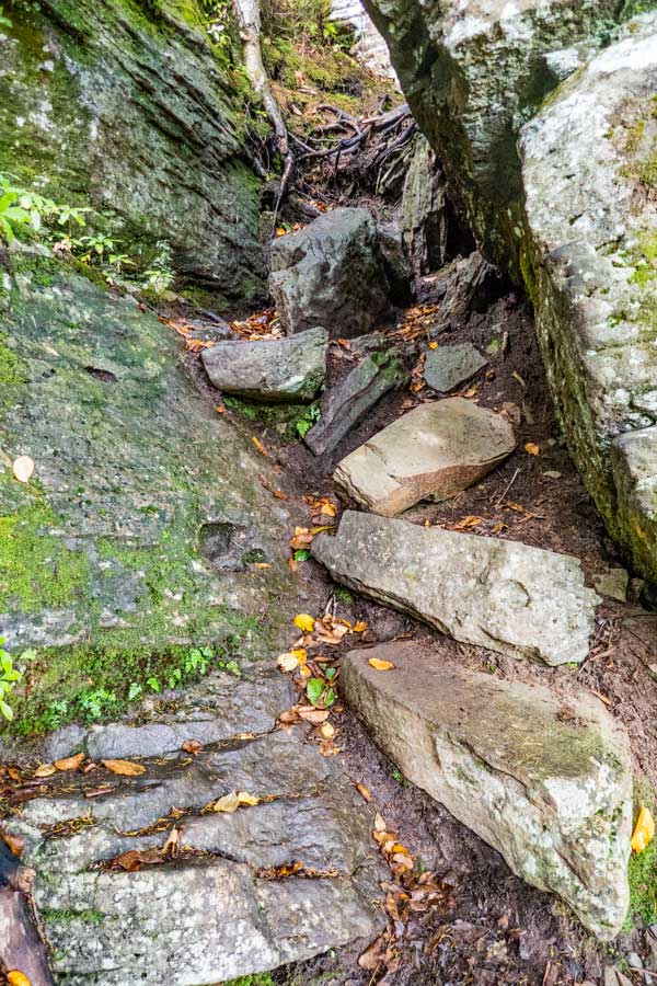 Trail near the summit of Plateau Mountain from Mink Hollow Road Pass