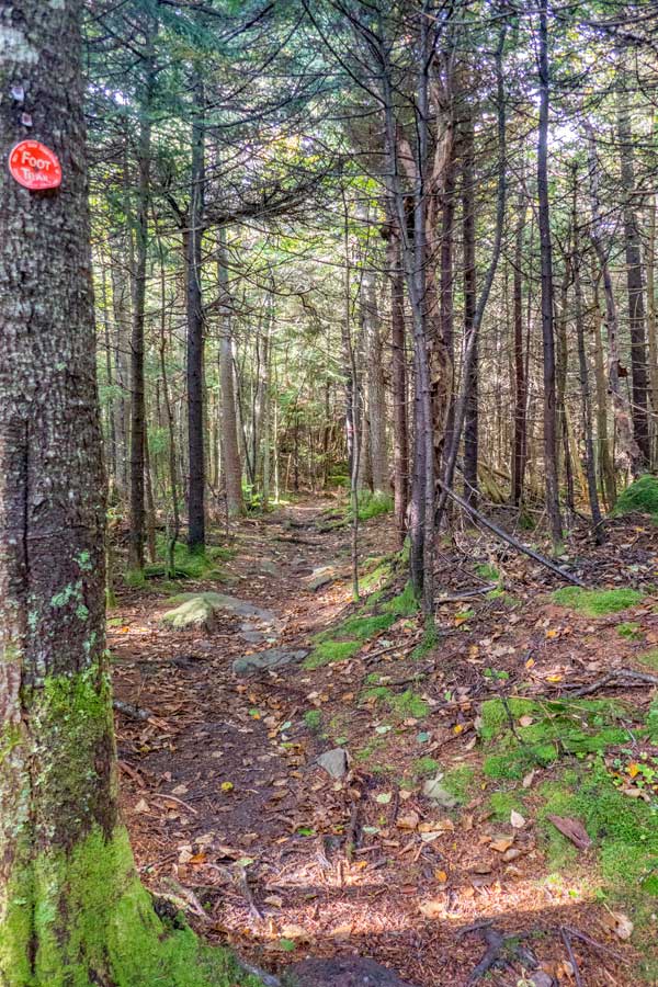 summit path of Plateau Mountain