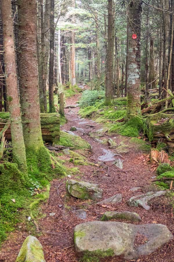 trail across the top of Plateau Mountain