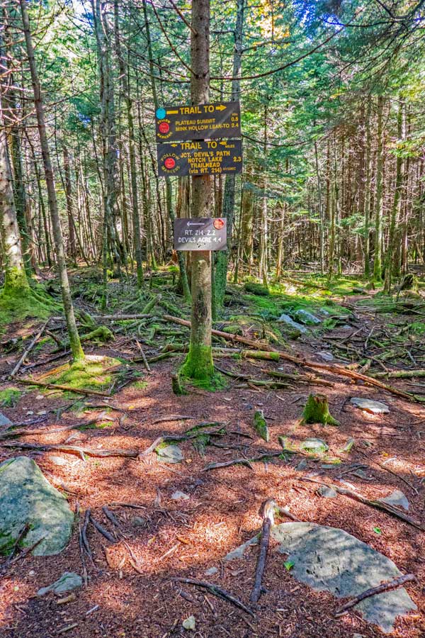 trail across the top of Plateau Mountain